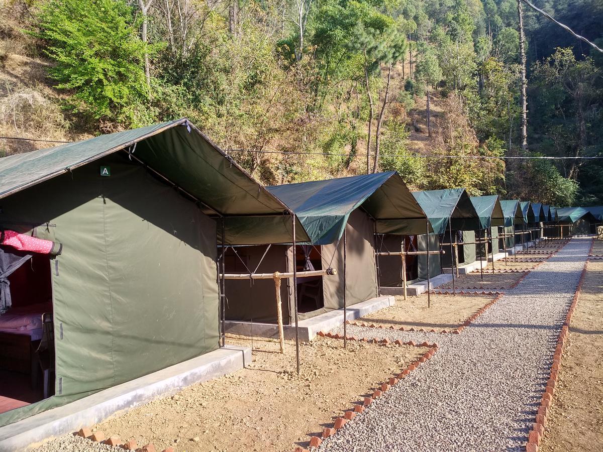 Jungle Stays Chail Exterior photo